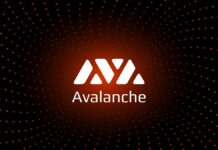 ETF Avalanche đầu tiên đã lên sàn của Mỹ ETF Avalanche đầu tiên đã lên sàn của Mỹ